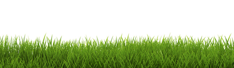 Obraz premium green grass background