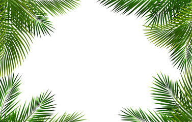 Green Palm Tree Branch Frame