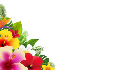 Tropical Flowers And Frangipani With Banner