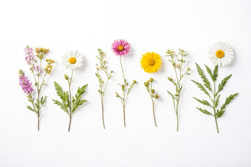 Fototapeta premium Floral arrangement with pink, white and yellow flowers on white background