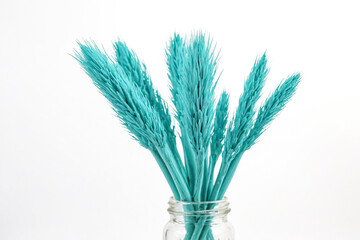 Fototapeta premium Turquoise Wheat in a Glass Jar
