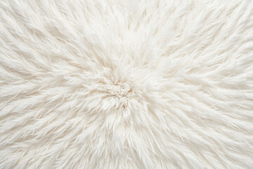 Fototapeta premium White Fur Texture