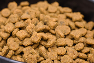 Fototapeta premium dog food. a large number of small round balls of dog food lie in a metal bowl, close-up top view, animal concept