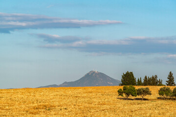 Paysage printanier en Tunisie