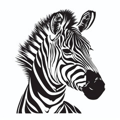 Zebra in Graphic style on white background