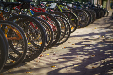 Tens of bicycles parked on a sidewalk. Sustainable mobility concept.