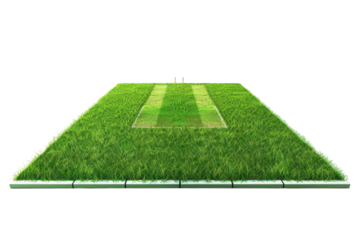 Professional Cricket Pitch Isolated on Transparent Background