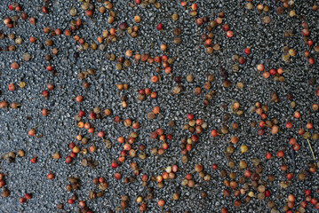 雨で湿る舗装地に散乱する赤い実