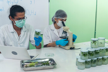 Biochemistry Scientist asian men caucasian women diversity team biology science medical lab working...