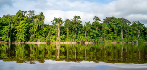 Scene on the bank of Suriname river

