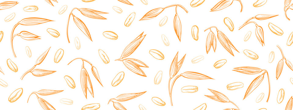 Oat spike, seed endless background. Vector pattern