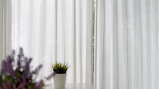 In the morning, warm sunlight streams through the living room with a vase of purple flowers. and potted plants. The window had thin white curtains. and the gentle breeze blowing. slow motion