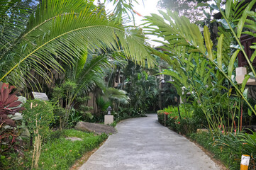 Obraz premium Beautiful hotel area on Phuket island in Thailand