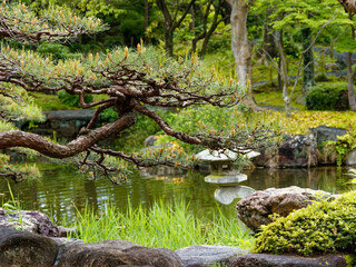 Fototapeta premium 新緑に包まれた六華苑の庭園