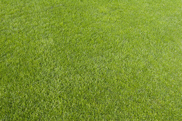 Full frame top view image of fresh green grass in a stadium