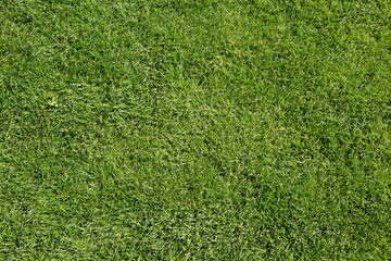 Full frame top view image of fresh green grass in a stadium