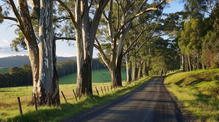 Fototapeta premium A long, winding country road lined with tall trees and green fields, inviting a leisurely drive through the picturesque countryside. 