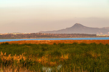 Zone humide au crépuscule