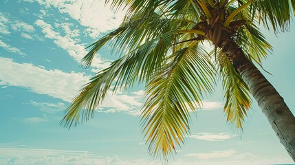 Fototapeta premium palm tree leaves swaying in the breeze on a tropical beach relaxing vacation background