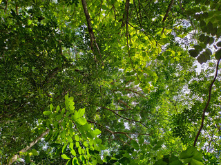 Fototapeta premium These evocative photos showcase the simple joys and moments that make up our daily lives. From serene nature scenes , these photos are sure to evoke emotions and bring back cherished memories.