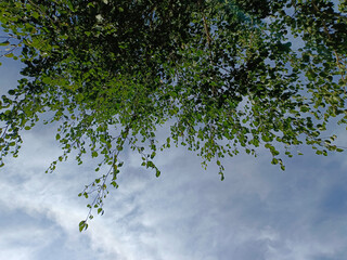 These evocative photos showcase the simple joys and moments that make up our daily lives. From serene nature scenes , these photos are sure to evoke emotions and bring back cherished memories.