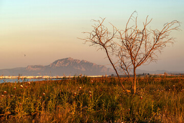 Paysage au coucher du soleil