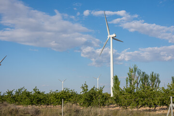 Fototapeta premium a wind turbine is in the middle of a field.