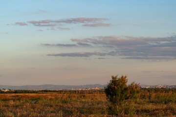 Paysage au coucher du soleil