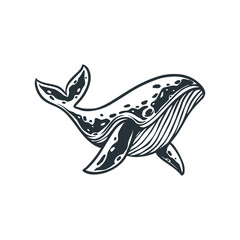 whale illustration doodle hand drawn engraved