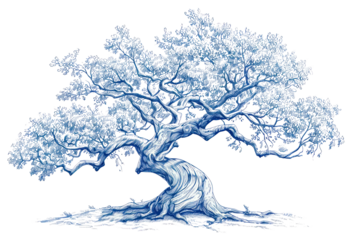 PNG  Antique of tree drawing sketch plant.