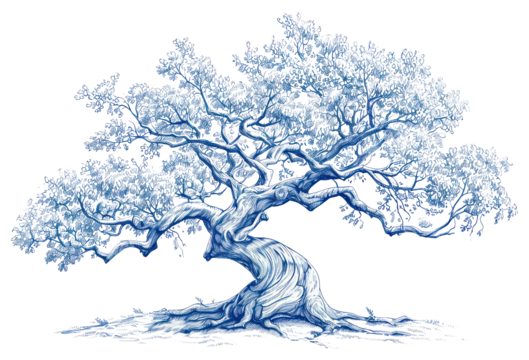 PNG  Antique of tree drawing sketch plant.