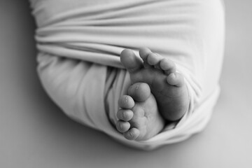 The tiny foot of a newborn baby. Soft feet of a new born in a wool blanket. Close up of toes, heels...