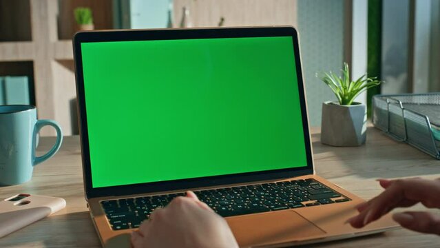 Girl browsing website green screen laptop in home office close up. Woman hands