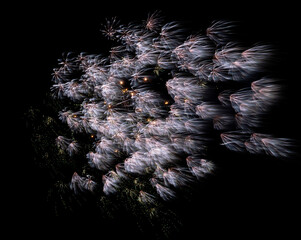 秋田県大曲の花火　2023夏