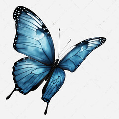 beautiful-blue-butterfly-isolated-on-white-or-transparent