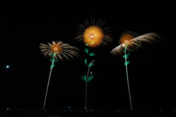 秋田県大曲の花火　2023夏