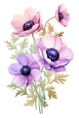 Anemone, Watercolor Floral Border, watercolor illustration, isolated on white background