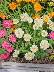 bouquet of flowers