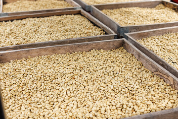 coffee natural sun drying process, on shelf,