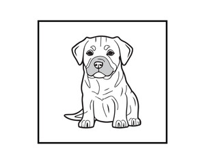 labrador retriever puppy