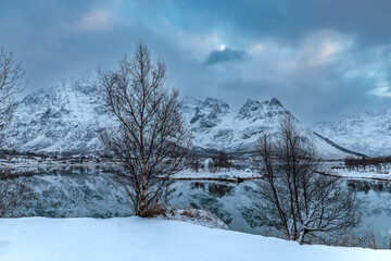 Landscape at the beginning of winter in Gullesfjorden, Lofoten Islands, Norway