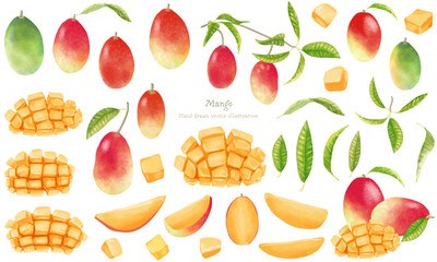 水彩で描いたマンゴーのイラスト素材セット
