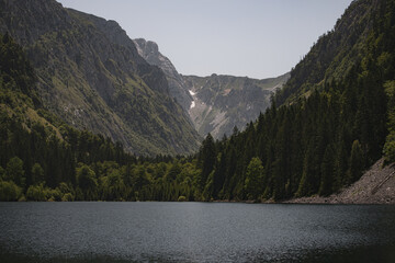 Trees along lake shore by mountains covered in forests