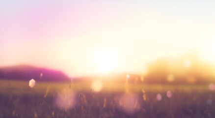 Sweet meadows at sunset blurry background