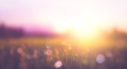 Sweet meadows at sunset blurry background