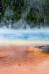 Steam rises from the colorful Grand Prismatic Spring at Yellowstone National Park in Wyoming on a sunny day, with trees, mountains, and sky in the background