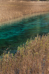 Reed Lake at a wonderland-JiuZhaiGou, Sichuan, China.