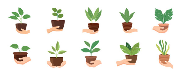 Hand holding plant pot vector illustration set, hands carrying flower pot, hand bring potted plant, flat icon design isolated on white background

