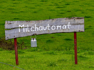 Kühe und Schild
