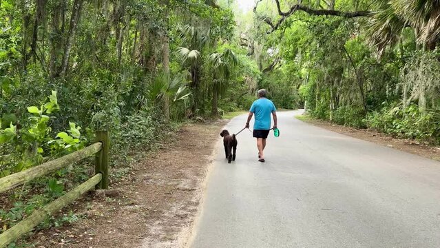 A man walking a brown standard poodle puppy in a county park near Mount Dora, FL